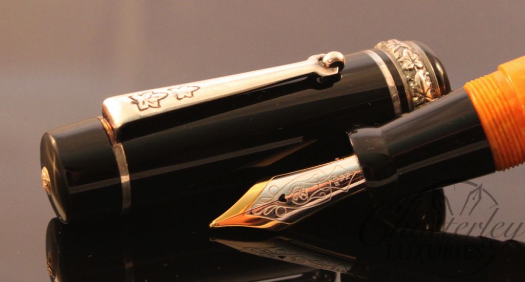 Delta Colosseum Limited Edition Fountain Pen (1)