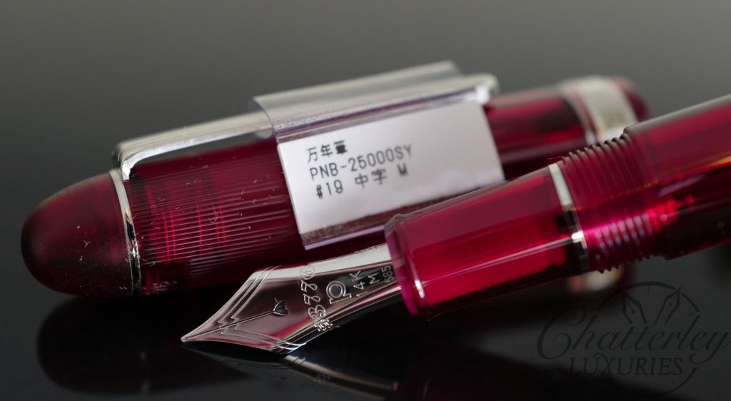 Platinum Century 3776 Shungyo Limited Edition Fountain Pen