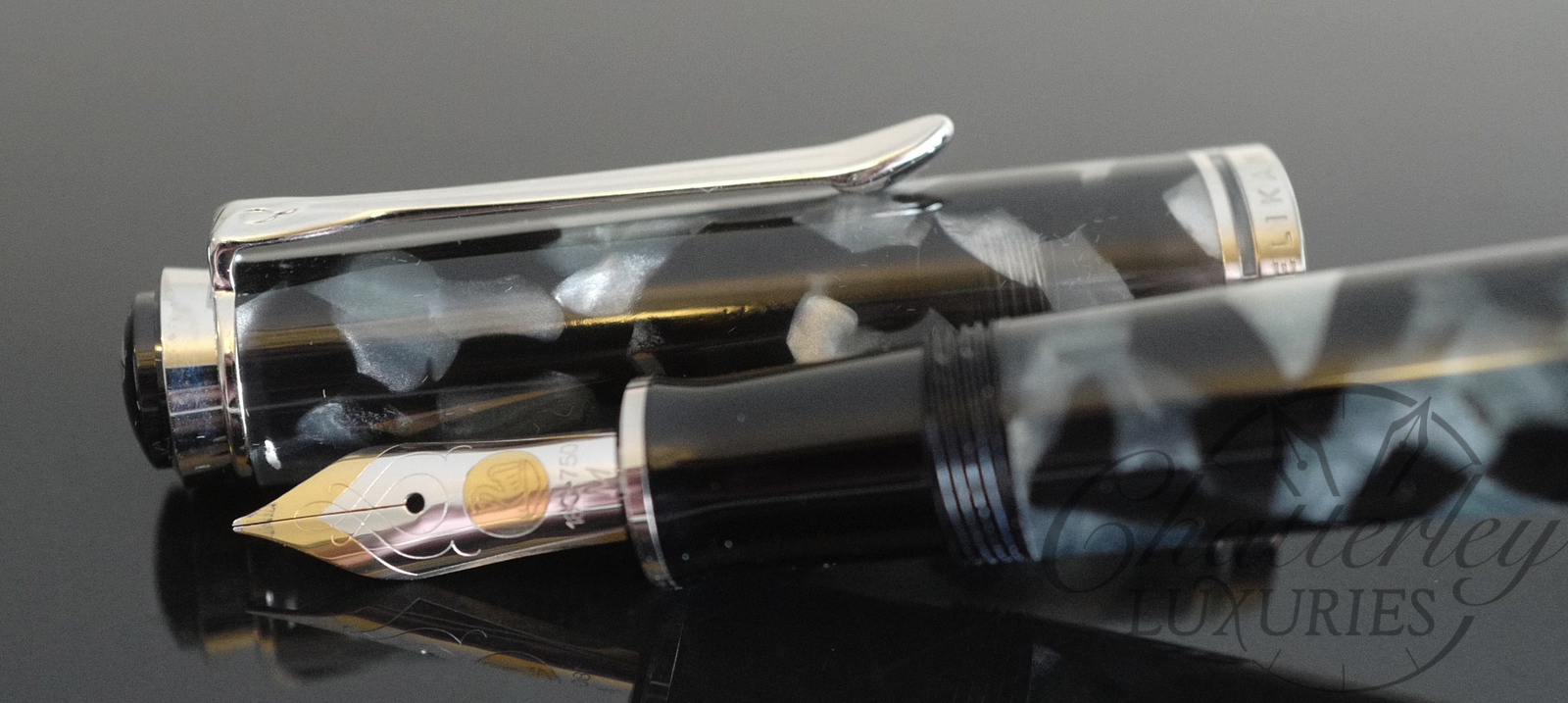 Pelikan M620 City Series Fountain Pen Chicago