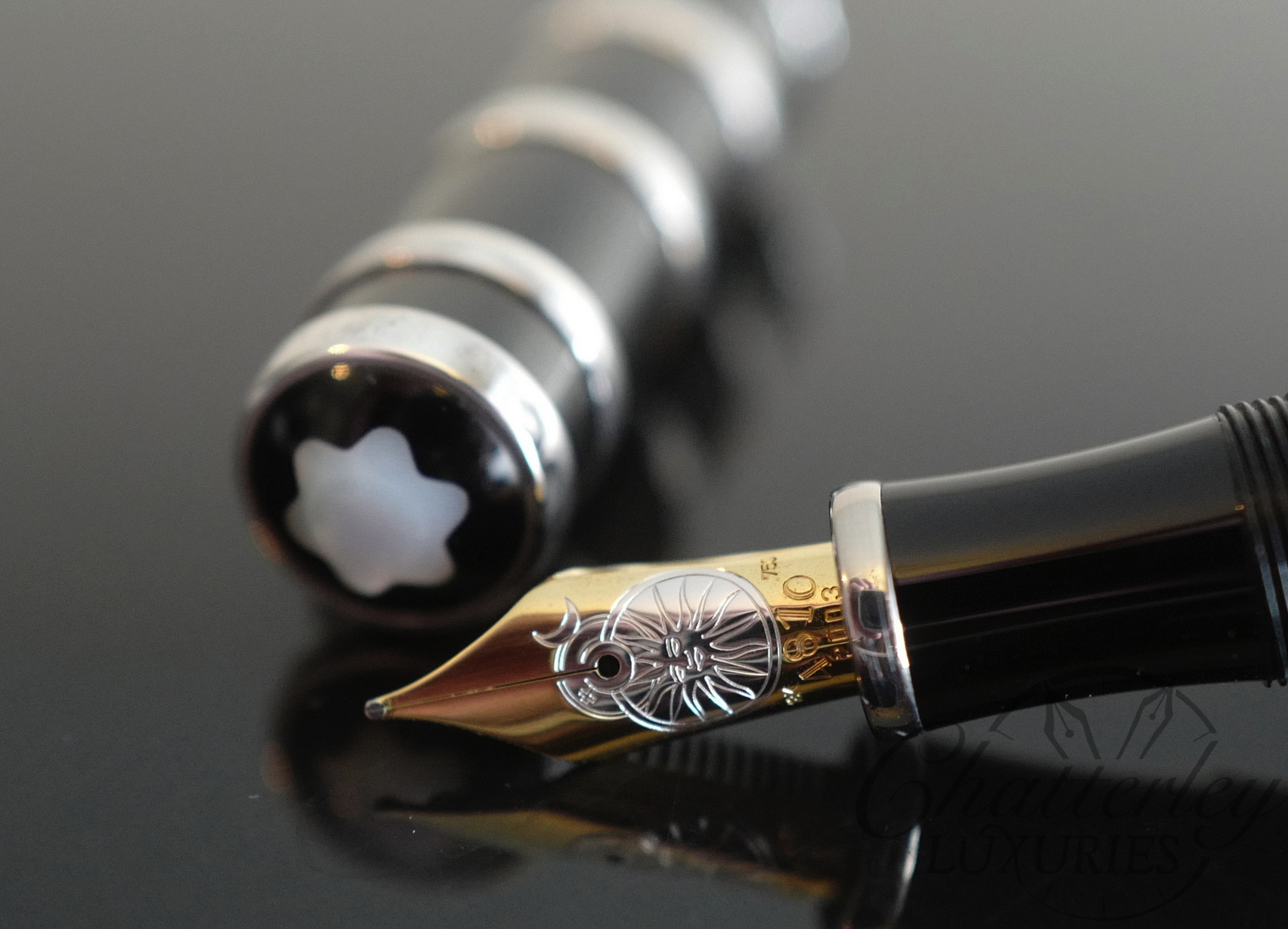 Montblanc Nicolaus Copernicus 4810 Limited Edition Fountain Pen