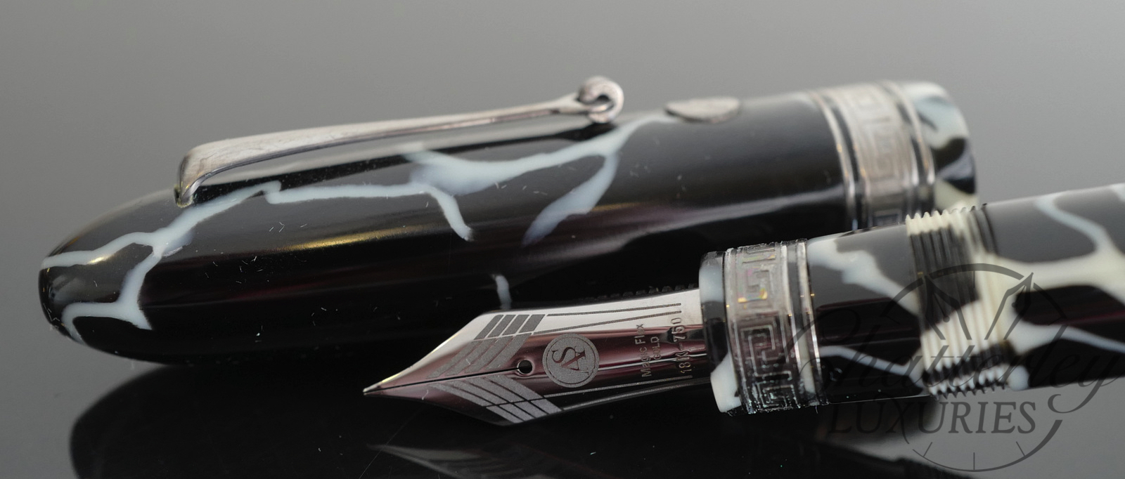 Armando Simoni Club Oversized Ogiva Wild Celluloid Fountain Pen with Dark Side Trim