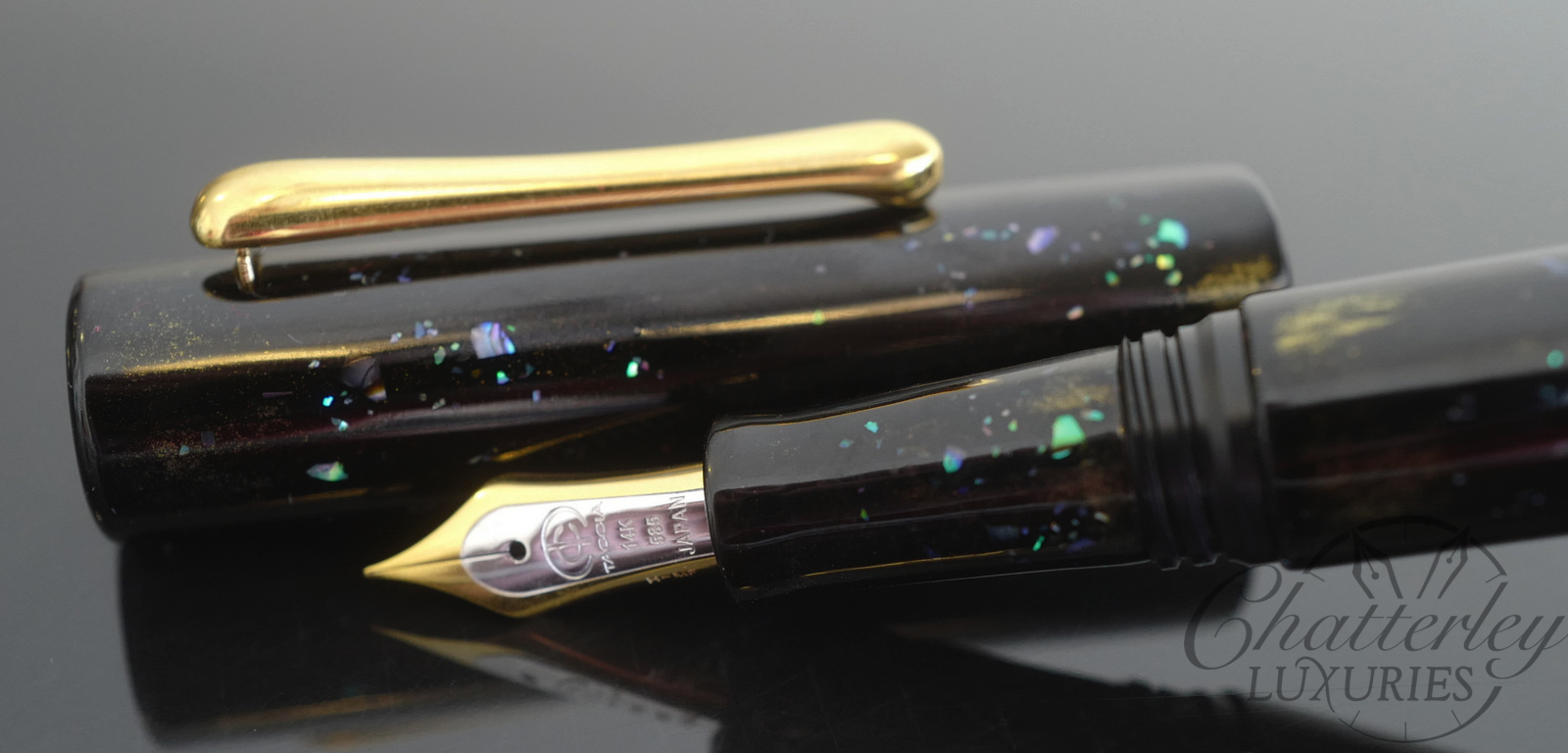 Taccia Limited Edition Raden Reserve Constellation In The Sky Fountain Pen