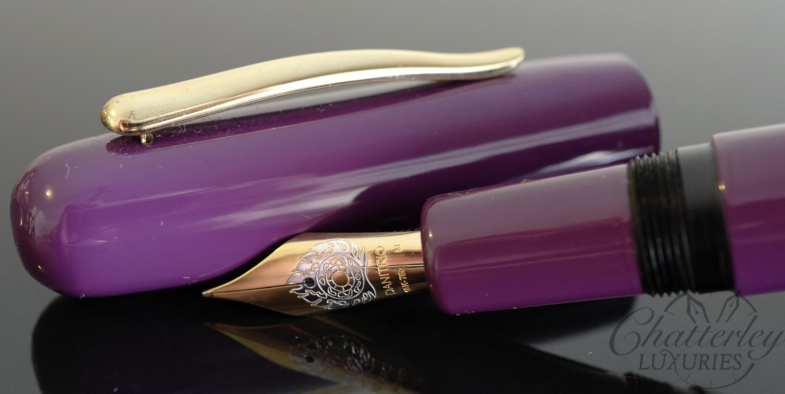 Danitrio Roiro-migaki Purple on Takumi Fountain Pen