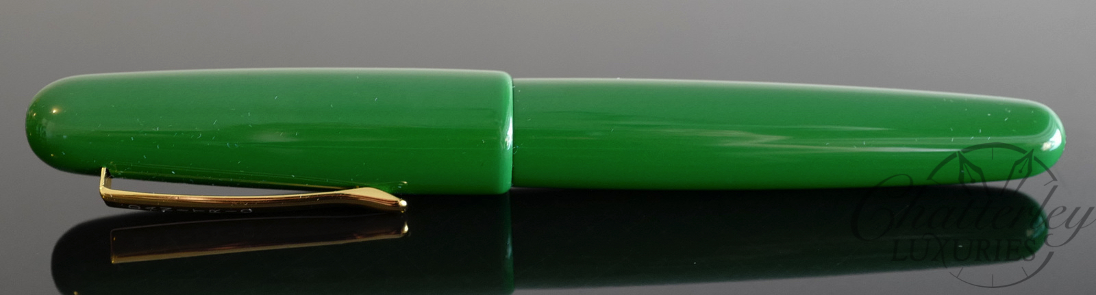 Danitrio Roiro-migaki Grass Green on Takumi Fountain Pen - Image 2