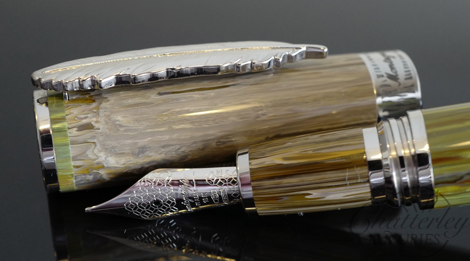 Montegrappa Wild Baobab Limited Edition Fountain Pen