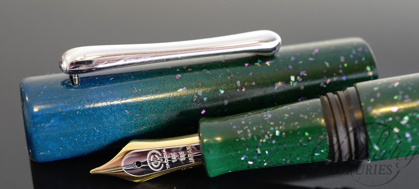 Taccia Limited Edition Hyakko Hisho Hakumei Fountain Pen