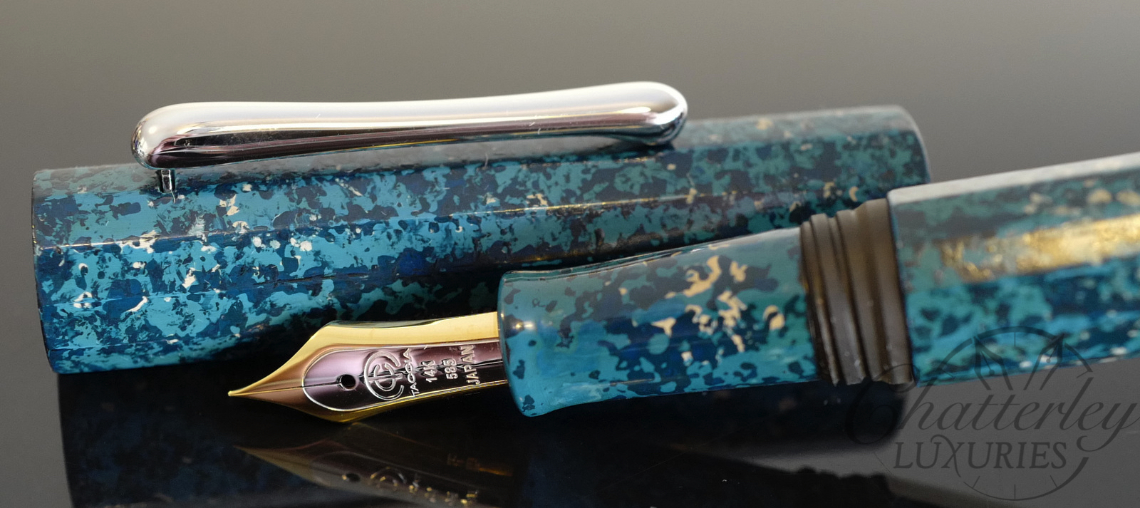 Taccia Limited Edition Hyakko Hisho Seiheki Fountain Pen