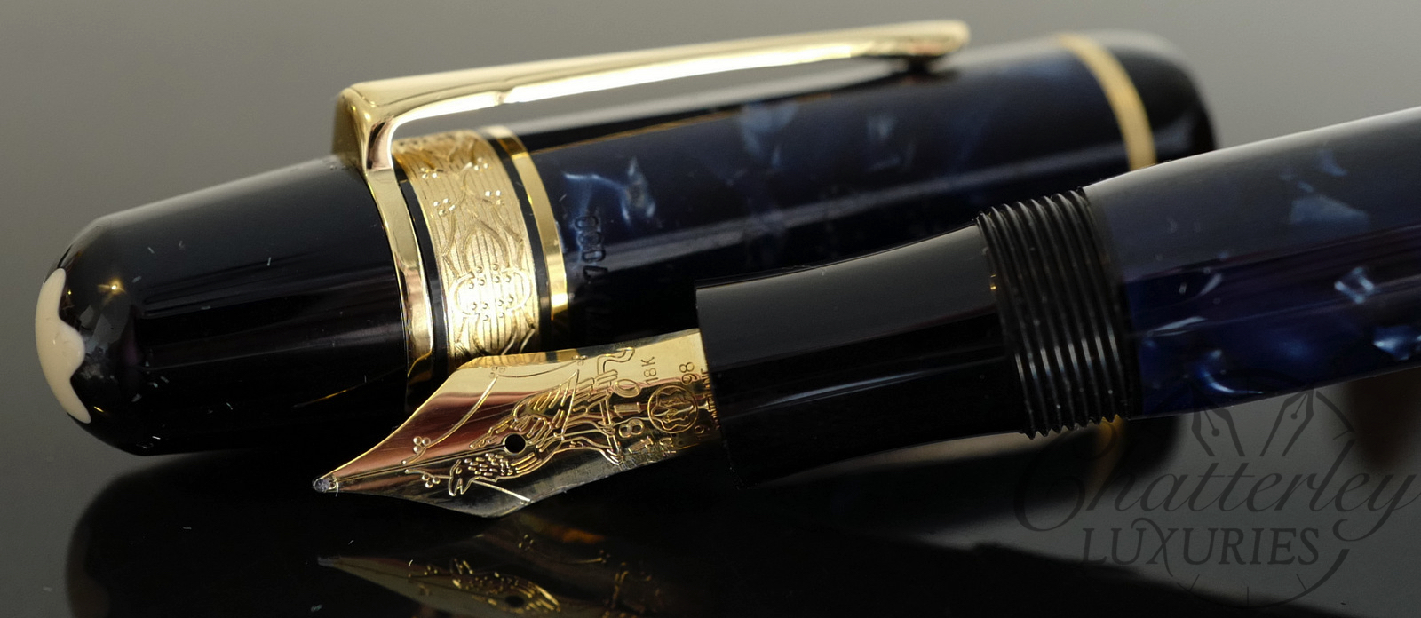 Montblanc Writers Edition Edgar Allen Poe Fountain Pen