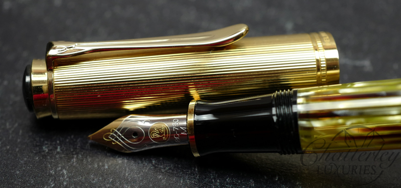 Pelikan M450 Tortoise Shell Fountain Pen