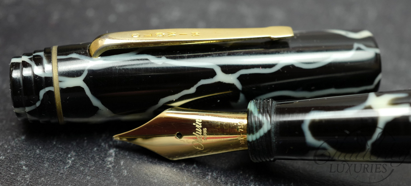 Oldwin Paris Arte Deco Wild Celluloid Fountain Pen