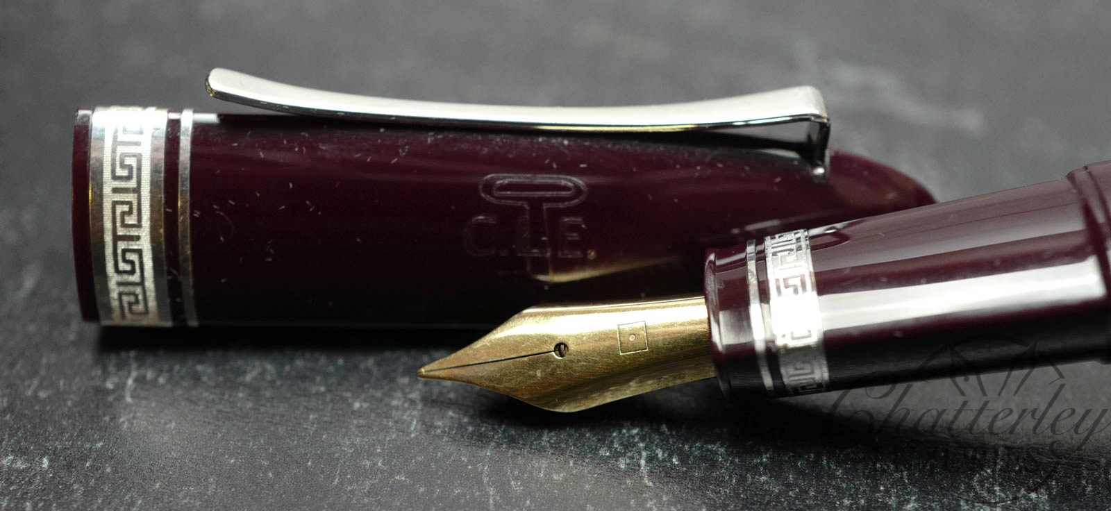 Omas 360 Burgundy Erasmus Mundus CLE Fountain Pen