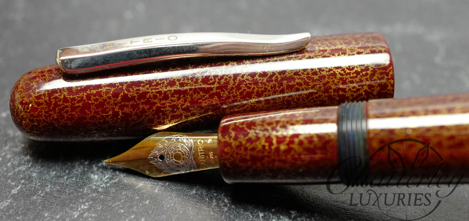 Danitrio Seirei-Nuri on Densho Fountain Pen