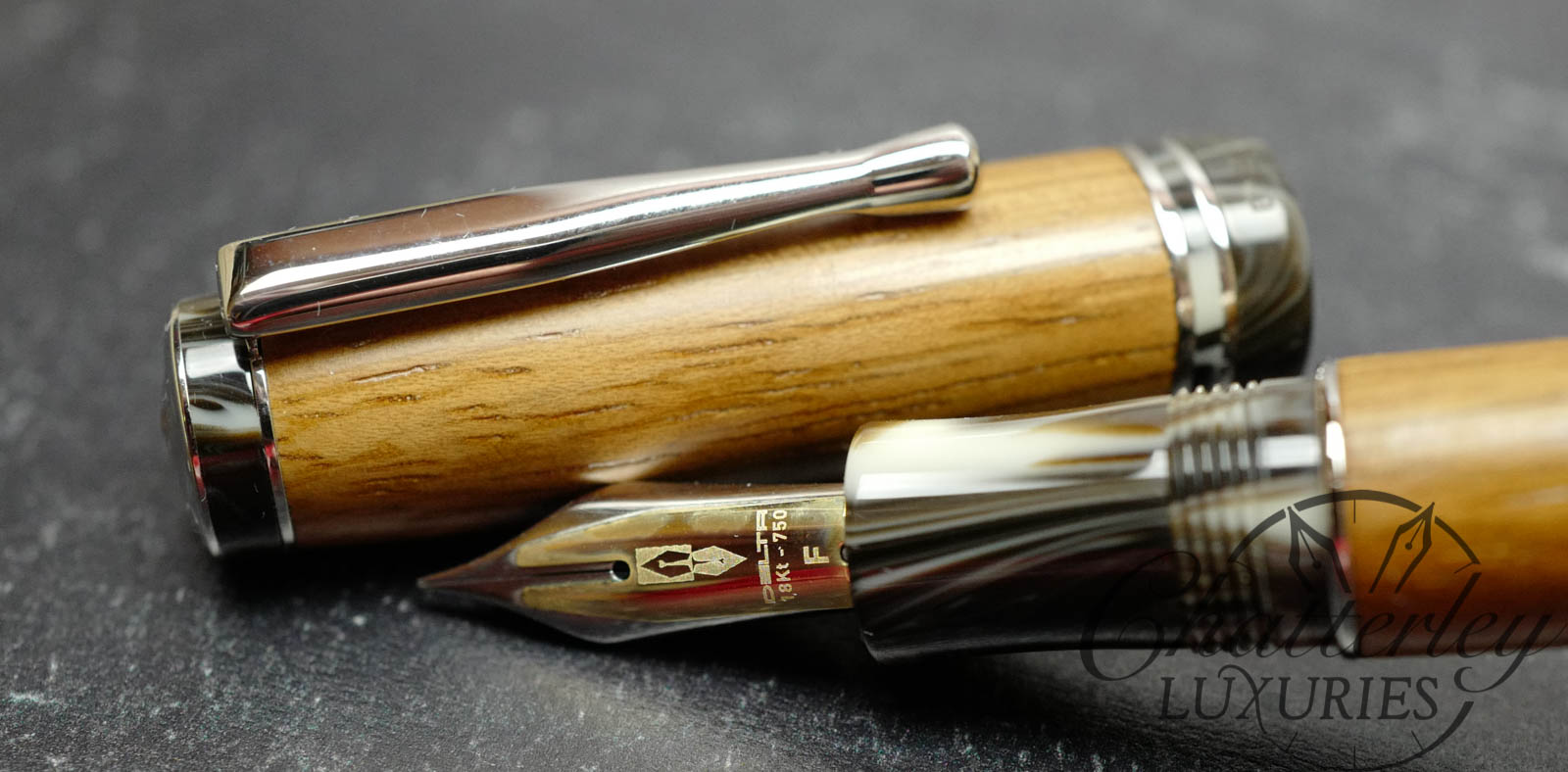 Delta SeaWood Fountain Pen Fusion nib