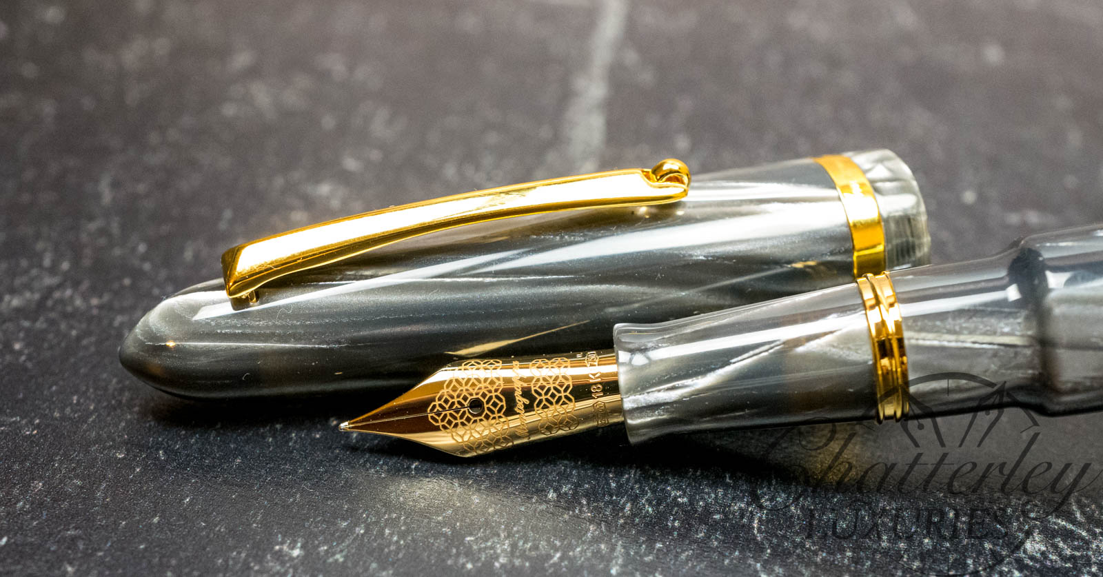 Montegrappa Venetia Celluloid Limited Edition Fountain Pen-Pearl Grey
