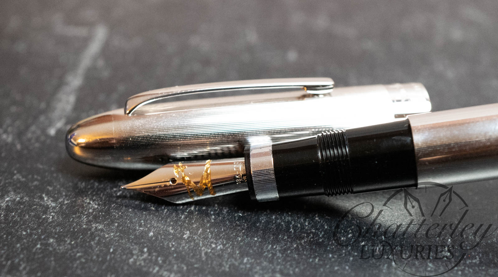 Omas Ogiva Richard Hennessy Fountain Pen