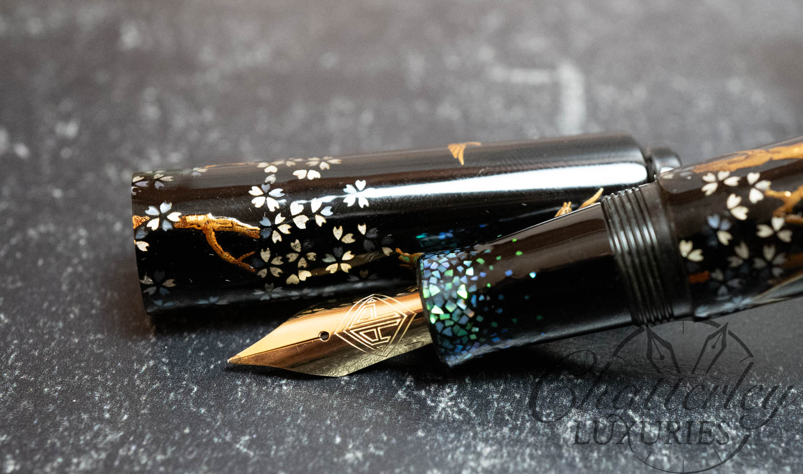 AP Limited Editions Sakura Blooms Fountain Pen