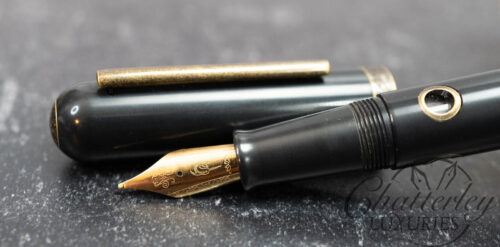Narwhal Nahvalur Nautilus Bronze Corydoras Fountain Pen