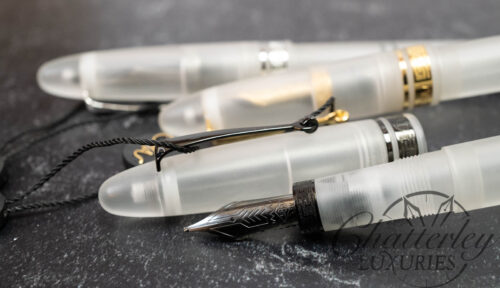 Omas Ogiva Demonstrator Fountain Pen