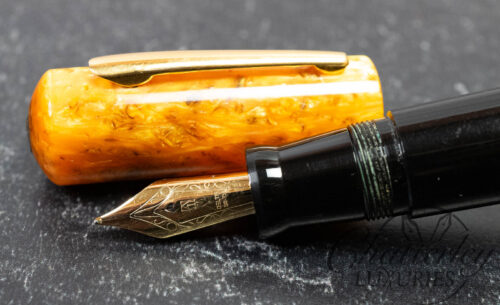Delta Planet Collection Limited Edition Fountain Pen