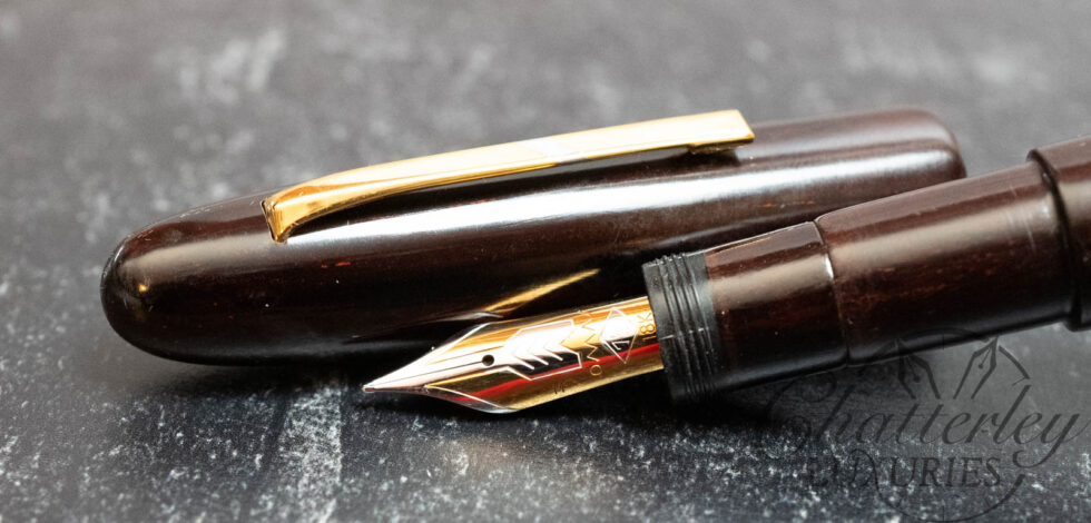 Omas Legni Pregiati Collezione Ebano Viola Fountain Pen