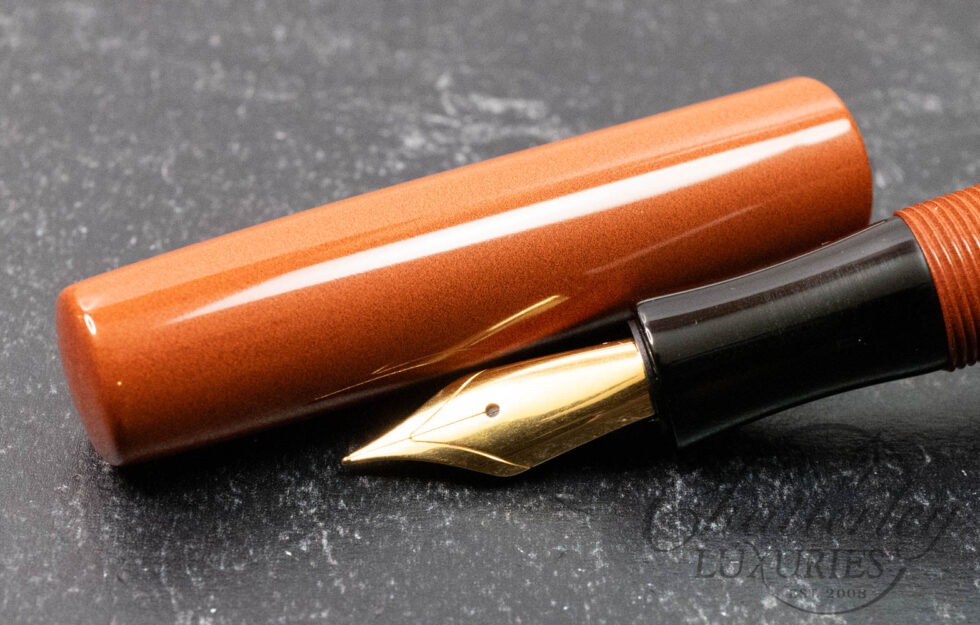 Pichevin Pens Waverly Ebonite Fountain Pen